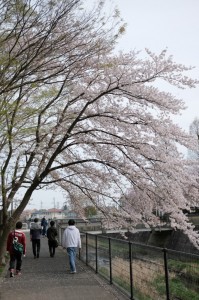 KAMI0604-2