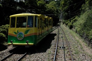 KAMI1515