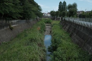 KAMI2388